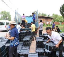 “สหกรณ์บึงกาฬ รวมพลังกระจายมังคุด : สู้ภัย COVID”