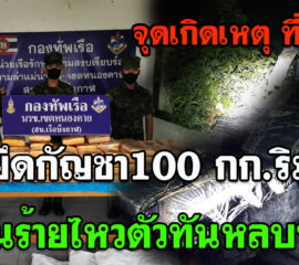 บุ่งคล้า ทหารเรือพร้อมกองกำลังสุรศักดิ์มนตรีบุดยึดกัญชา100กก.ริมโขง