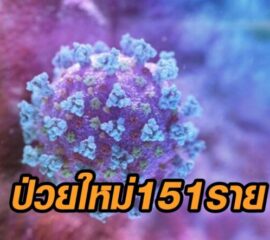 ด่วน! ไทยพบผู้ป่วยใหม่ 151 ราย ติดเชื้อในประเทศ 14 ราย แรงงานอีก 129 คน