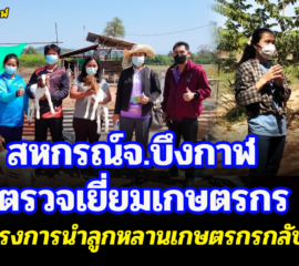 สหกรณ์จ.บึงกาฬ  ตรวจเยี่ยมเกษตรกรในโครงการนำลูกหลานเกษตรกรกลับบ้าน