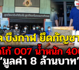 ตชด.บึงกาฬ ยึดกัญชาแห้งปั๊มโลโก้ 007 ลงบนแท่งกัญชา 400 กิโลค่า 8 ล้านบาท