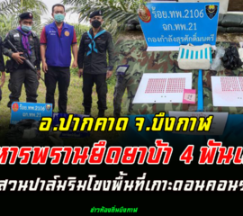 ทหารพรานยึดยาบ้า 4 พันเม็ดในสวนปาล์มริมโขงพื้นที่เกาะดอนคอนราช