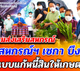 กรมส่งเสริมสหกรณ์ ชูสหกรณ์ฯ เซกา บึงกาฬ ต้นแบบแก้หนี้สินให้เกษตรกร